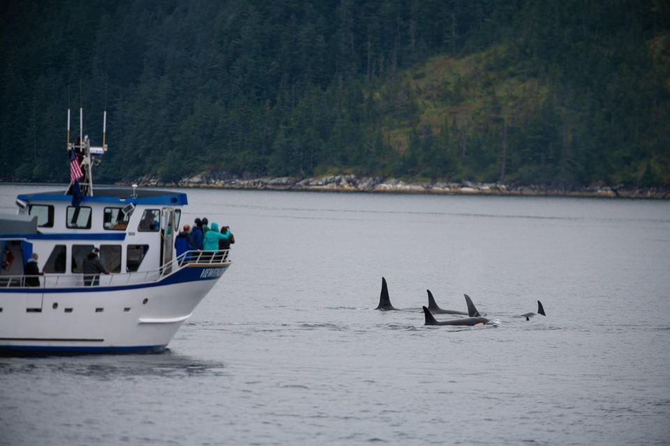 Seward: Kenai Fjords National Park Extended Cruise - Cruise Duration and Availability