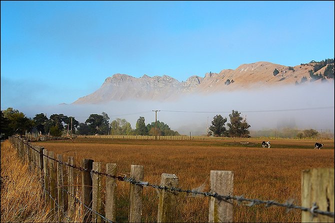 Shore Excursion: 4-Hour Discover Hawkes Bay and Napier Tour - Booking and Cancellation Policy