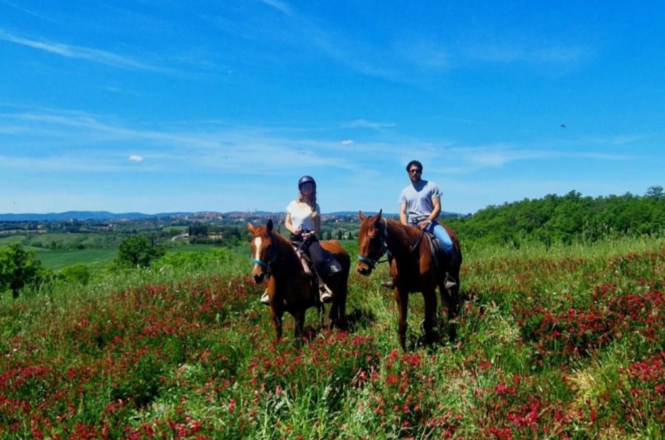 Siena: Horseback Riding Tour in the Siena Countryside - Frequently Asked Questions