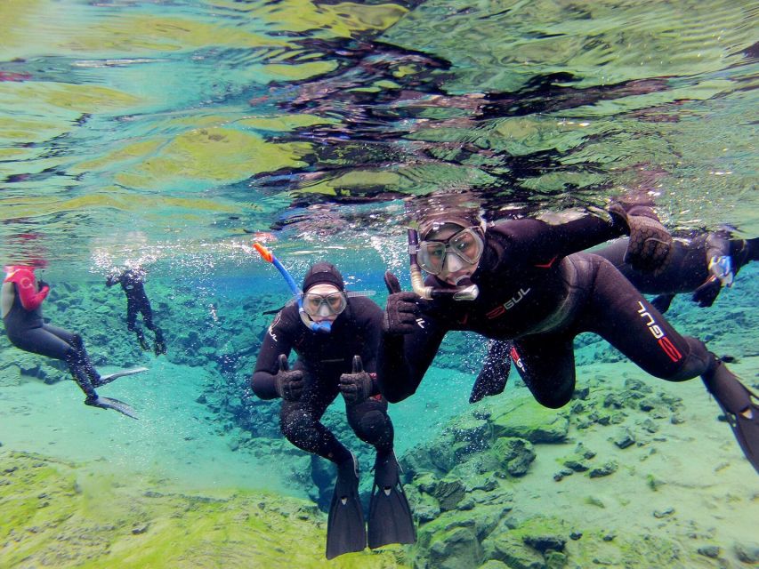 Silfra: Half-Day Snorkeling Day Trip With Underwater Photos - Customer Reviews and Ratings