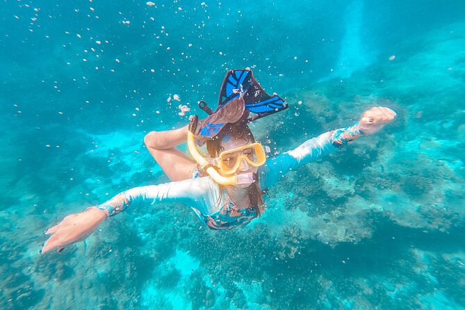 Similan Islands Private Tour - Reviews and Customer Feedback