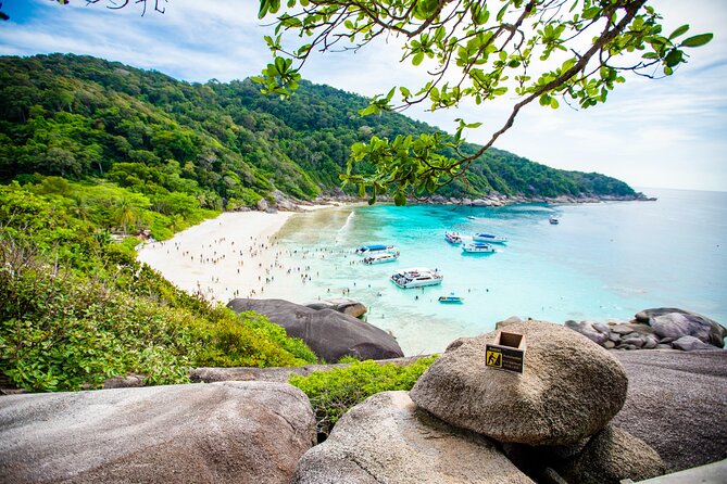 Similan Islands Snorkeling Tour By Seastar Andaman From Phuket - Snorkeling Experience