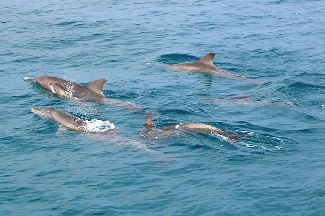 Similan Islands Snorkeling Tour By Speed Catamaran From Khao Lak - Nearby Attractions