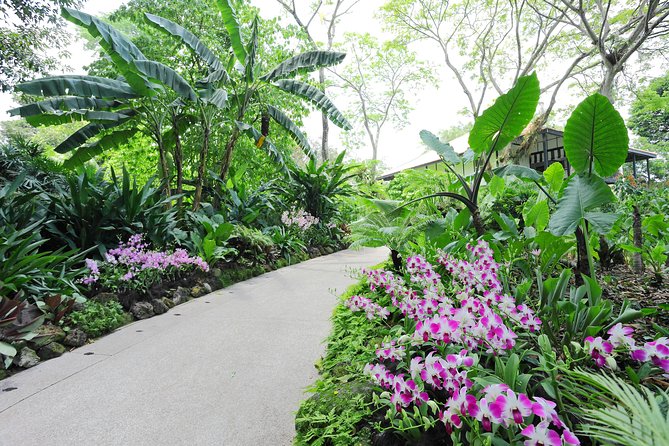 Singapore Morning City Tour - Merlion Park and Thian Hock Keng Temple
