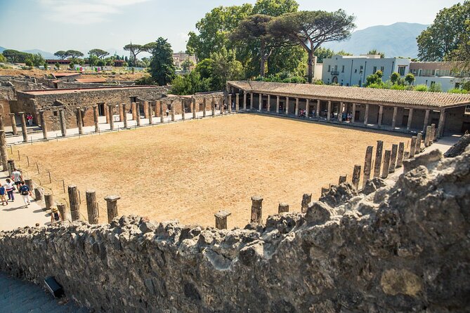 Skip the Line Pompeii & Mount Vesuvius Guided Tour From Positano - Transportation Options