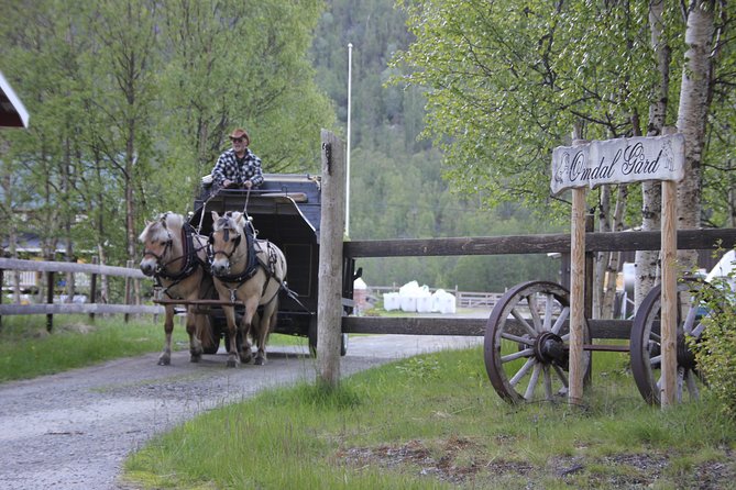 Sleigh Ride W/ Snacks - Experience Arctic Farm Life - Northern Lights Potential