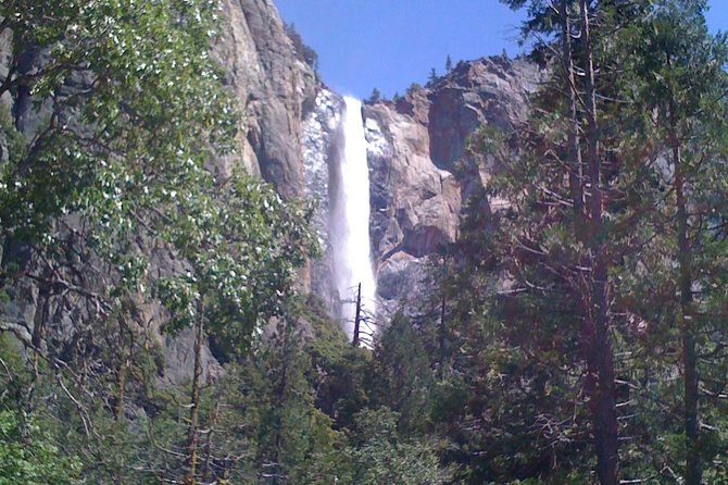 Small-Group Day Trip to Yosemite From Lake Tahoe - Guest Experiences