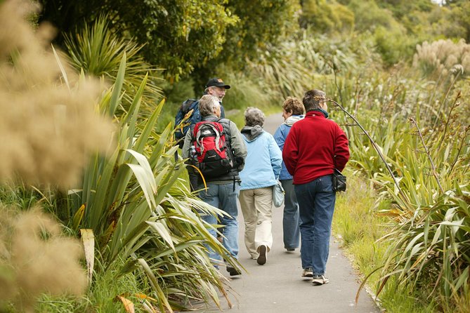 Small Group Daytime 2-Hour Eco Wildlife Tour at Zealandia - Guest Reviews and Testimonials