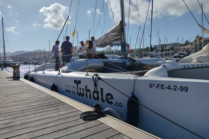 Small Group Dolphin Sunset Tour on Electric Catamaran Lanzarote - Tips for an Enjoyable Tour