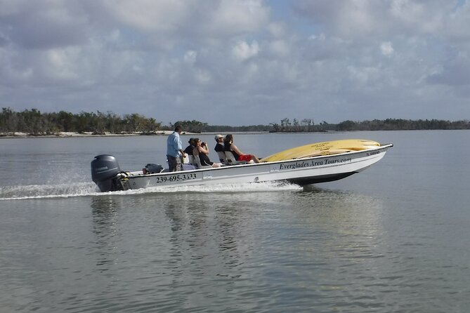 Small-Group Everglades Boating Kayaking and Walking Eco Tour - Wildlife Viewing Opportunities