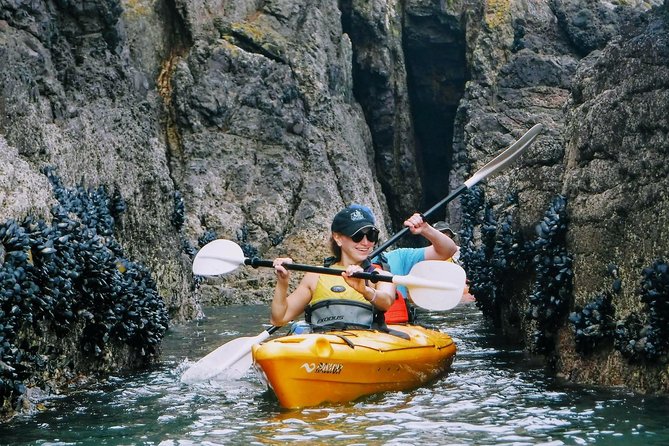 Small Group Guided Sea Kayaking in Akaroa Marine Reserve - Safety and Equipment Details
