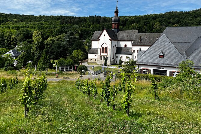 Small Group Rheingau Vineyards Tour With Castles and Abbeys - Traveler Reviews and Ratings