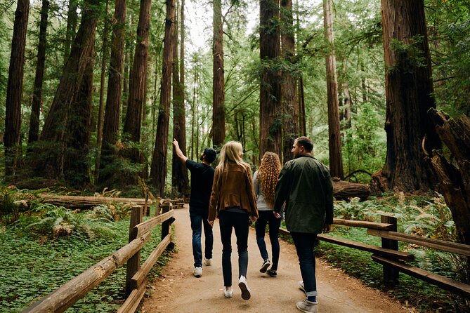 Small Group: SF, Muir Woods and Sausalito + Optional Alcatraz - Customer Reviews