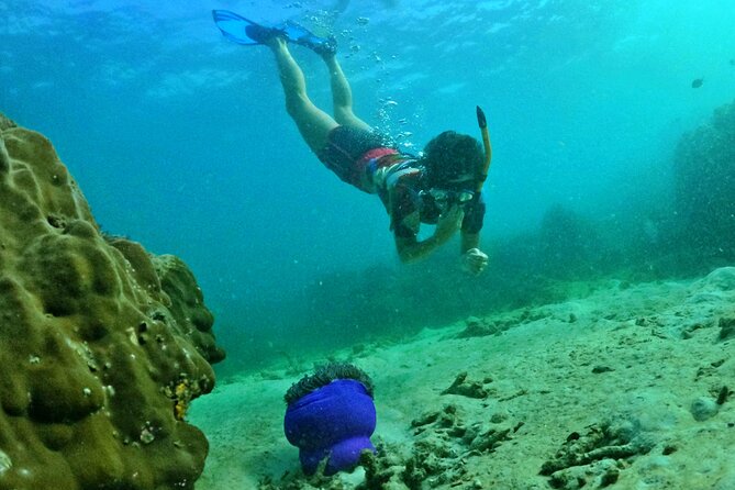 [Small-Group] SNORKELING & SUNSET MEAL at Private Beach-Max 9 PAX - Booking Information