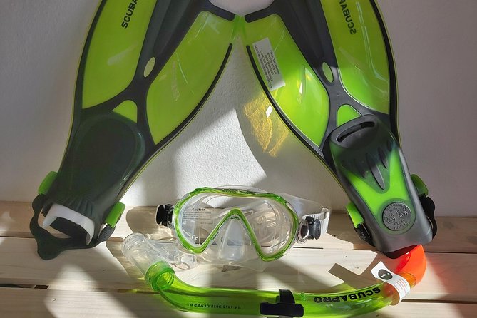 Snorkel Experience in Lanzarote - Tips for First-Time Snorkelers