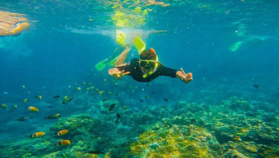 Snorkeling at Blue Lagoon and Waterfall - All Inclusive - Booking Process