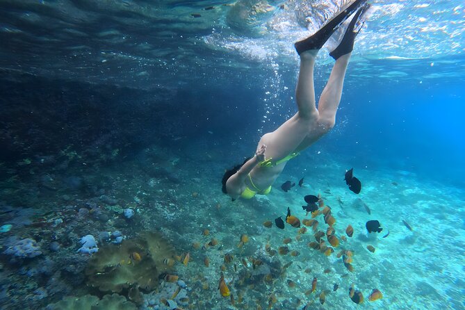 Snorkeling In Nusa Penida Departing From Bali Island - Intimate Experience With Snorkeling