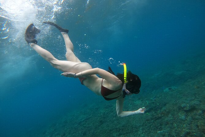 Snorkeling In Nusa Penida Manta Bay Private Boat Snorkeling - Private Tour Details