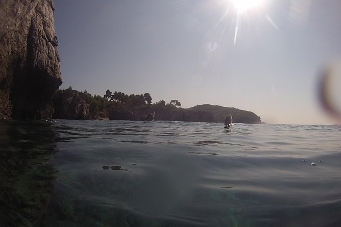 Snorkeling Trip - What to Expect Underwater
