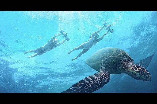 Snorkeling With Sea Scooters and Sea Adventure - Tips for an Enjoyable Tour