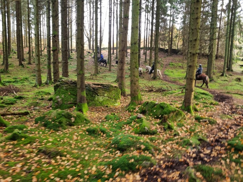 Söderåsen National Park: Horseback Riding Vacation 2 Nights - Exploring the National Park