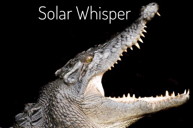 Solar Whisper Daintree River Crocodile and Wildlife Cruise - Guide Expertise and Insights