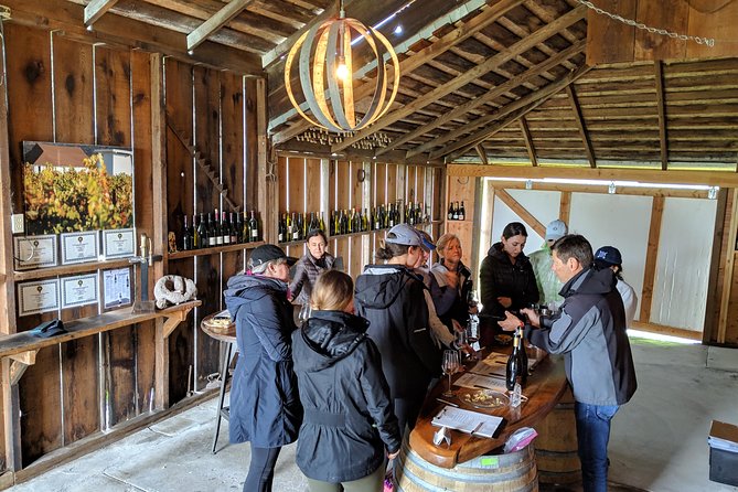 Sonoma Valley Pedal Assist Bike Tour With Lunch - Safety and Group Size