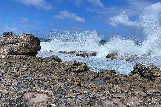 South Bonaire Private Island Tour - Booking and Cancellation Policy