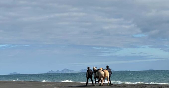 South of Iceland: Black Beach Riding Tour - Location and Meeting Details