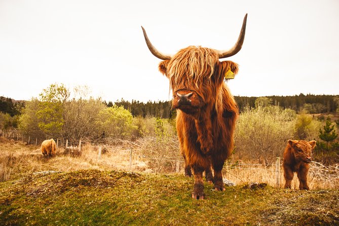 Speyside Whisky Day Tour From Inverness Including Admissions - Booking Information
