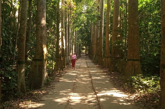 Srimangal Nature Tour in Forest and Tea Garden - Tips for Preparation