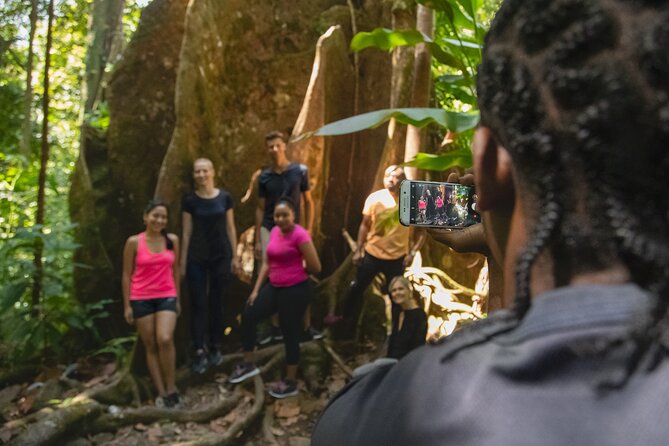 St Lucia Birdwatching Tour at Rainforest Adventures - Pricing and Discounts