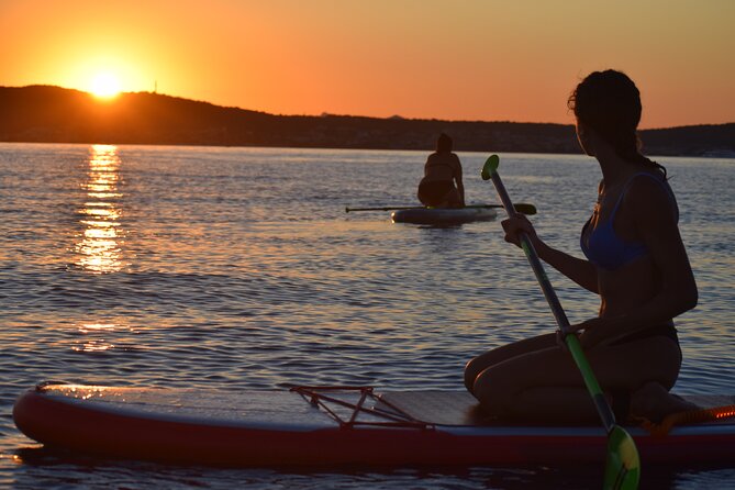 Stand Up Paddle With Dolphins - Customer Reviews and Ratings