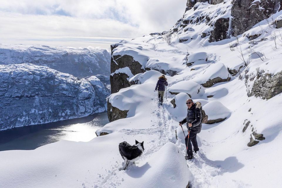 Stavanger: Preikestolen Winter Hike - Customer Feedback and Reviews
