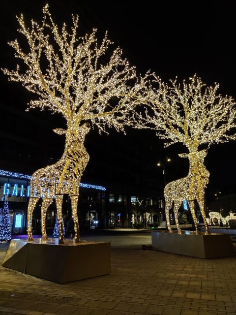 Stockholm: Christmas Lights and Market Walking Tour - Frequently Asked Questions