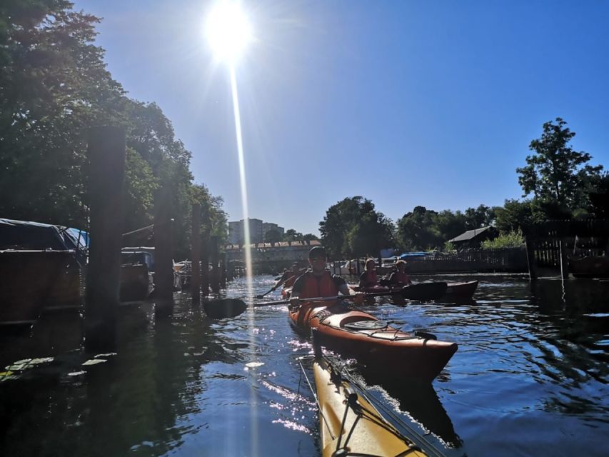 Stockholm: Daytime Kayak Tour in Stockholm City - Customer Feedback and Ratings