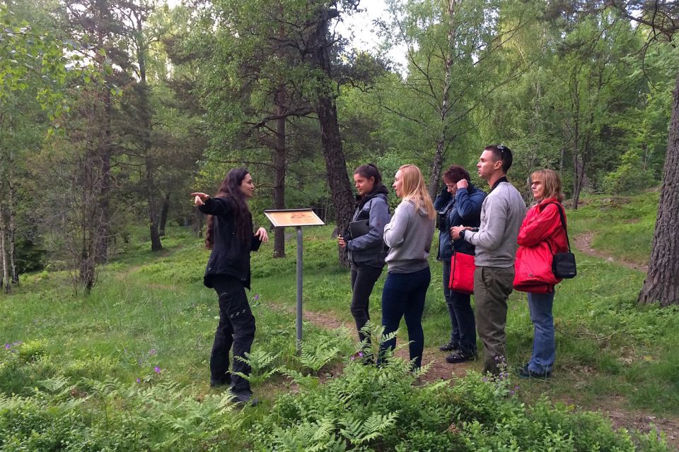 Stockholm: Evening Wildlife Safari With Midsummer Meal - Participant Guidelines