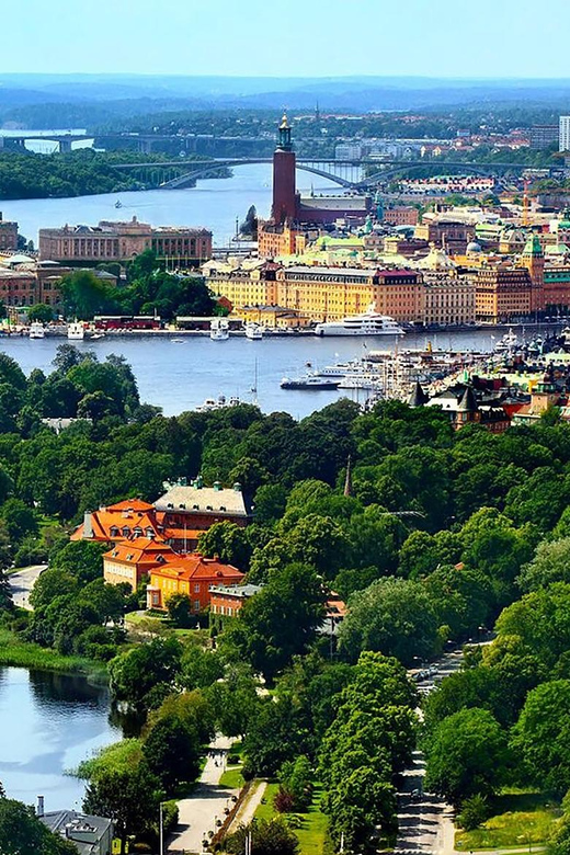 Stockholm VIP Half Day City Tour by Incl. Vasa Ship Museum - Scenic Viewpoints