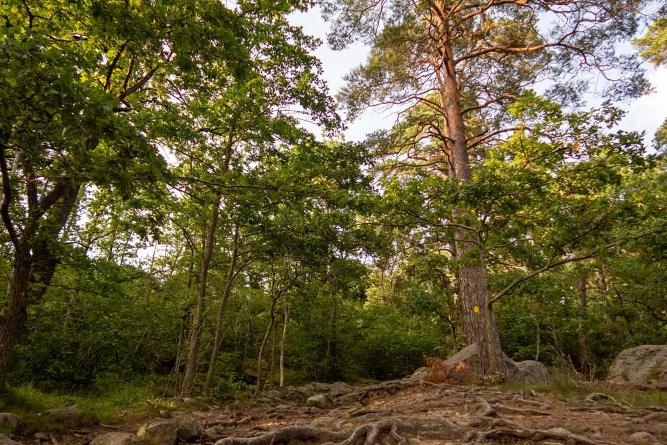 Stockholms Nacka Nature Reserve: 3-hour Hike for Beginners - Important Meeting Information