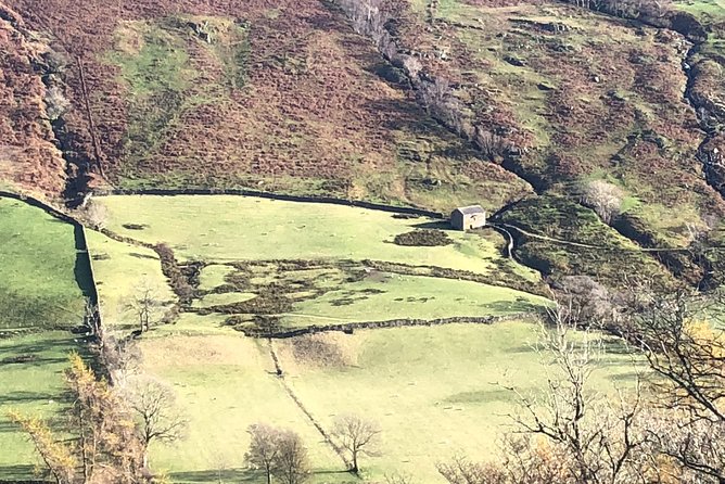 Stunning Lake District 4 Hour Tours! - Customer Experiences and Feedback