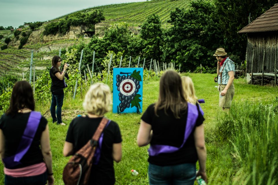 Stuttgart: Guided Vineyards Tour - Scenic Vistas