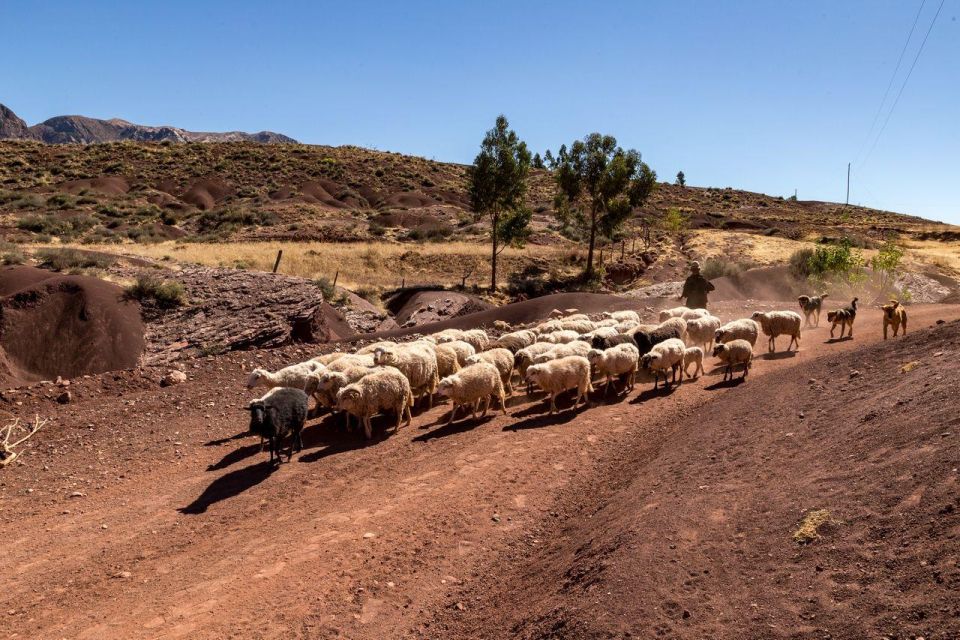 Sucre: 1 Day in the Crater of Maragua and Cave Paintings/Art - Vegetarian Cuisine in Tumpeca