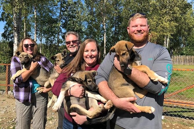 Summer Dog Sledding Adventure in Willow, Alaska - Traveler Testimonials and Feedback