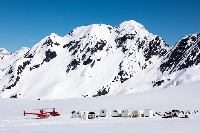 Summer Glacier Dogsledding Tour From Girdwood - Preparing for Your Adventure
