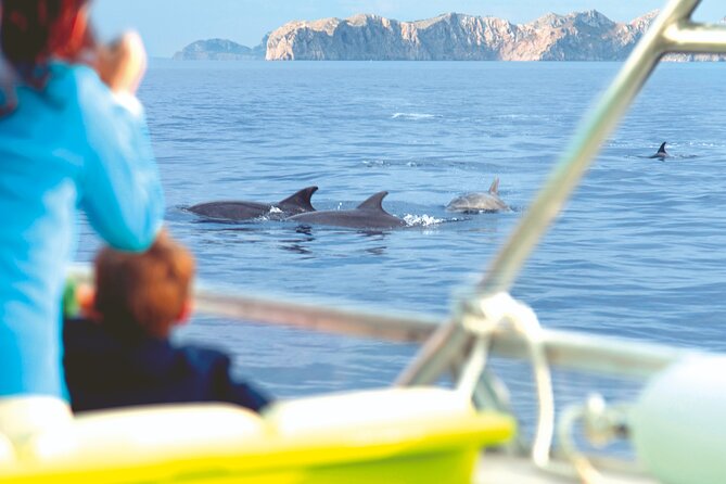 Sunrise Boat Trip in Mallorca With Dolphin-Watching - Tips for Your Trip