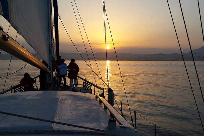 Sunset Sailing Experience in Estepona - Possible Sightings