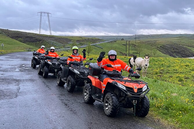 Super View 2h Safari on Quads - Observing Local Wildlife