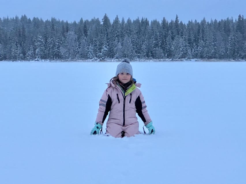 Swedish Lapland : Sled Dog and Reindeer Farm With the Family - Daily Itinerary Breakdown