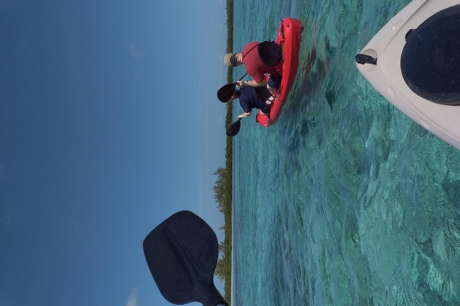Sweetings Cay Mangrove Kayaking and Turtles - Exploring the Mangroves and Wildlife