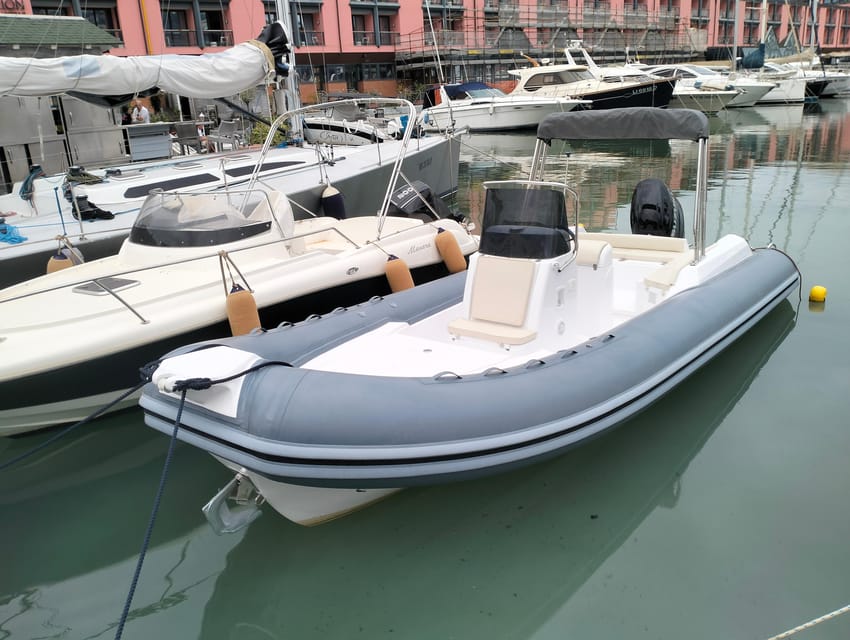 Swimming Cetacea Private Tour Boat Genova Portofino - How to Book Your Tour